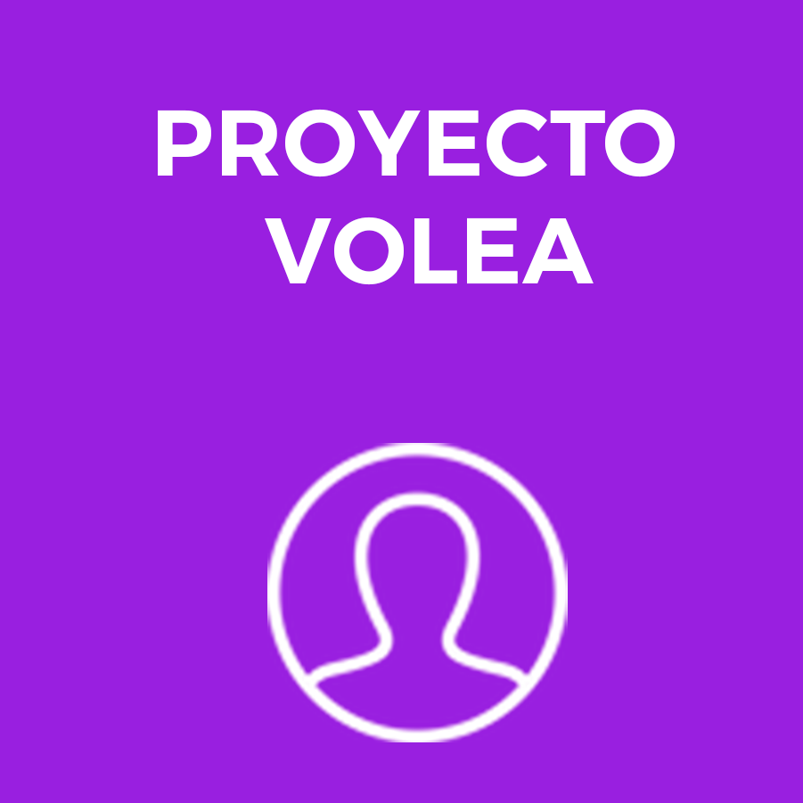 Proyecto Volea